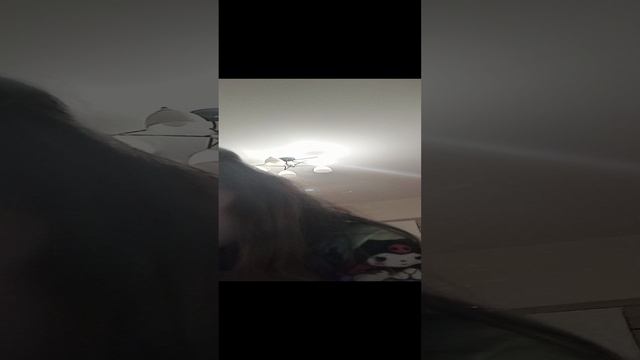 1000003094.mp4