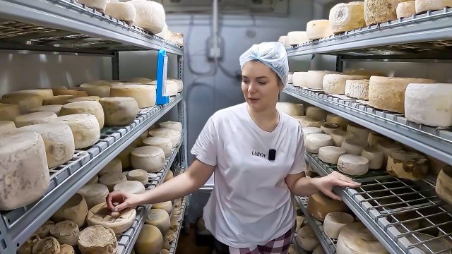 Как делают настоящий сыр? Секреты сыроварения от мастеров семейной фермы