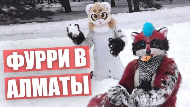 Респавн КАЗАХОВ. ФУРРИ в АЛМАТЫ