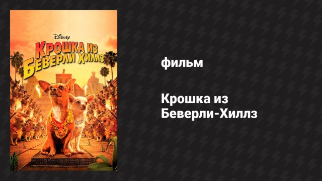 Крошка из Беверли-Хиллз (фильм, 2008)