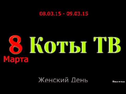 История всех заставок “Коты ТВ“ Reverse