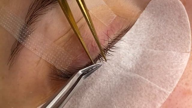 обучение наращивание ресниц   М, L изгибы как подбирать в работе чем отличается  разных ТМ