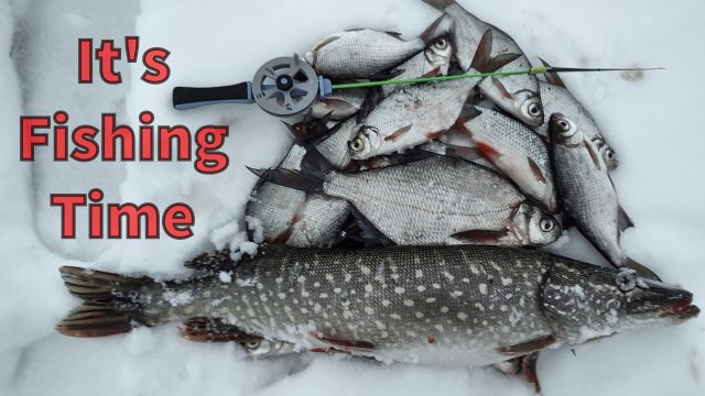 Половили на безмотылку и жерлицы! Зимняя рыбалка 23/24.