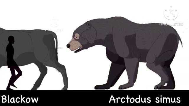 Animated size comparison (Random) 4