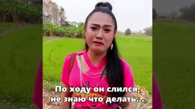 Степан, ты где, за---нец ( Stepan, where are you, asshole ) - мем (uu)