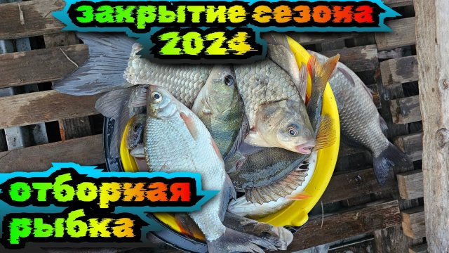 Закрытие сезона по открытой воде) Астрахань 2024) часть первая)