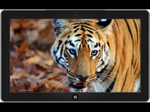 РУССКИЙ БОЕВИК След тигра 2016  Новые боевики и криминальные фильмы