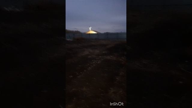 Сад моей мечты поражён!😊😉