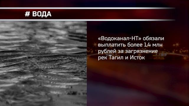 Новости. События дня. Реальный Тагил. 27.11.2024