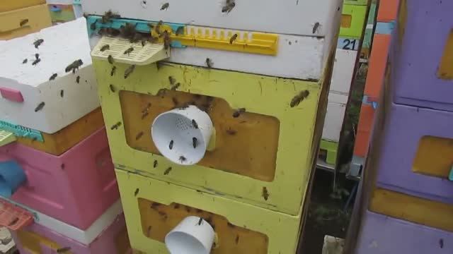 пчеловодство на ячейке 4,9 мм - часть 66, строю рамки для малоформатного улья 16.05.2024