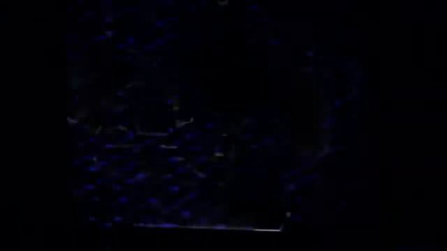 Джарахов - Гена Букин