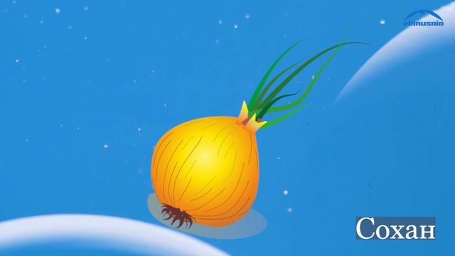 Баппахан — Битимле (Растения) | Bappahan — Plants