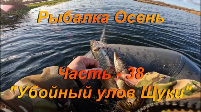 Рыбалка. Осень. Часть - 38. "Убойный улов Щуки".