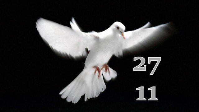 27.11.2024