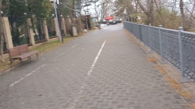 Анапа. Сегодня дождливо и ветрено. 27 ноября 2024. 13.00