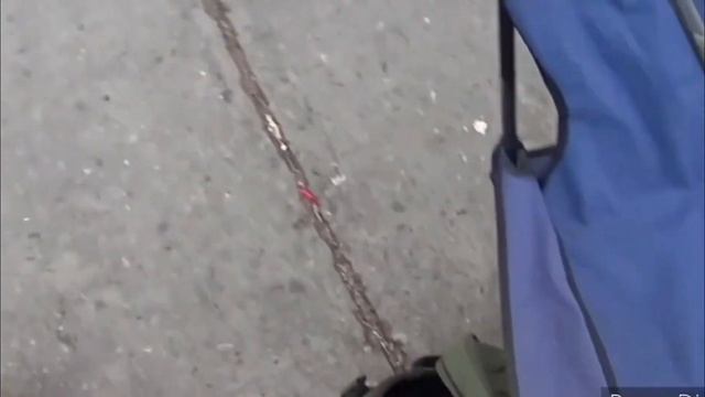 Влияние атмосферного давления на клёв рыбы.