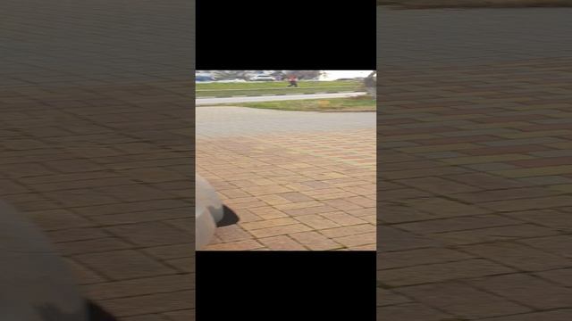 20241128_140825.mp4