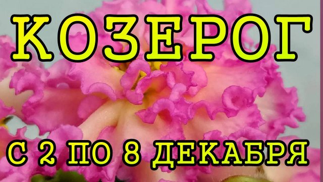 КОЗЕРОГ таро прогноз на неделю с 2 по 8 ДЕКАБРЯ 2024 года.