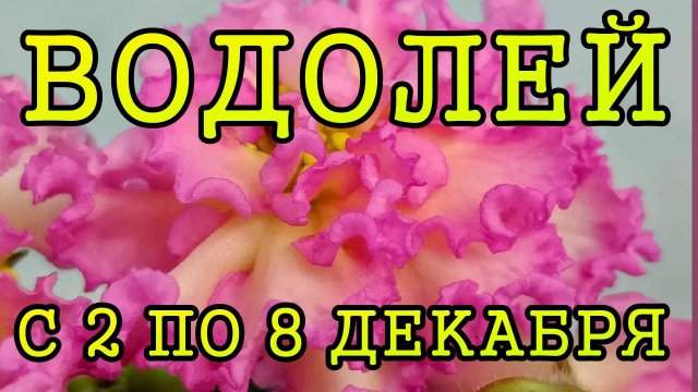 ВОДОЛЕЙ таро прогноз на неделю с 2 по 8 ДЕКАБРЯ 2024 года.