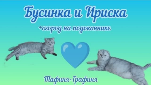 😻 Бусинка и Ириска 😻