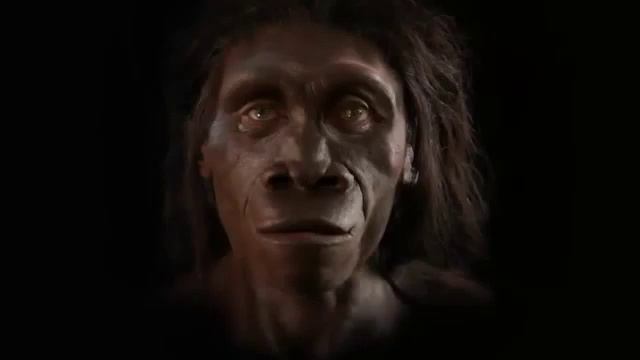 Эволюция человека за 2 часа