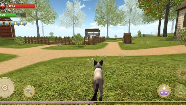CatSim