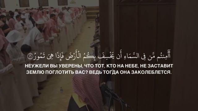 Мухаммад аль Люхайдан | Сура «Аль Мульк» Слушай до конца