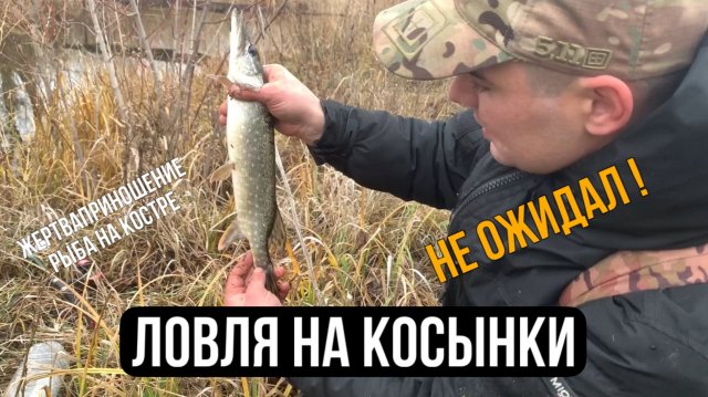 Ловля на КОСЫНКИ / что смогу поймать за пол часа / рыба на костре / неожиданный улов!