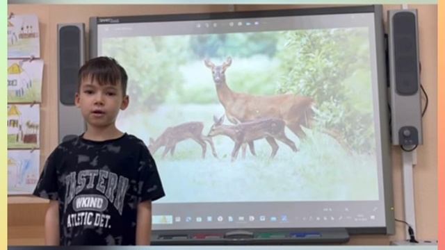 Хочу всё знать!