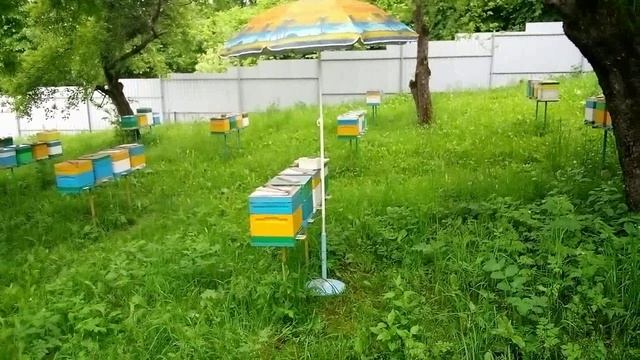 Сезон 2024 штрихи часть 1