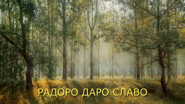 Славяно-арийская мантра на связь с РОДОМ. РАДОРО ДАРО СЛАВО