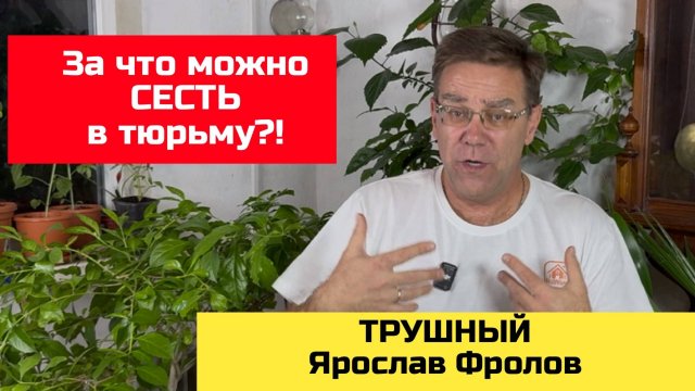 За что можно сесть в тюрьму после покупке земельного участка | Трушный канал Ярослава Фролова