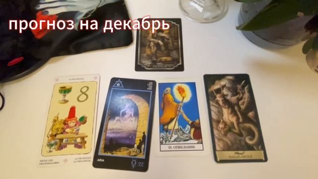 Таропрогноз на ДЕКАБРЬ 2024 года для представителей стихии земли: телец, дева, козерог.