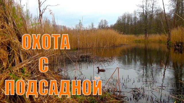 Охота на бесконтактных СЕЛЕЗНЕЙ