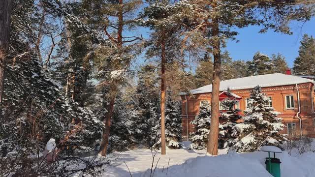 Я знаю где есть снег. СЕНСАЦИЯ: делюсь секретным сбором от всех болезней .Не пропусти.