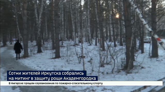 Под угрозой вырубки. Сотни жителей Иркутска собрались на митинг в защиту рощи Академгородка