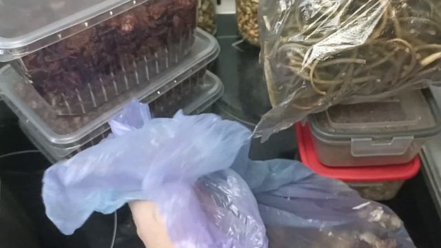 Мнение о дегидраторе Libhof FDA-10, смеси приправ для супов и мяса. #дегидратор, #LibhofFDA-10.