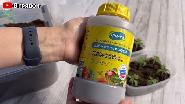 ЛУЧШИЕ СОРТА ТОМАТОВ по итогам 2024 года, УРОЖАЙНЫЕ и ВКУСНЫЕ