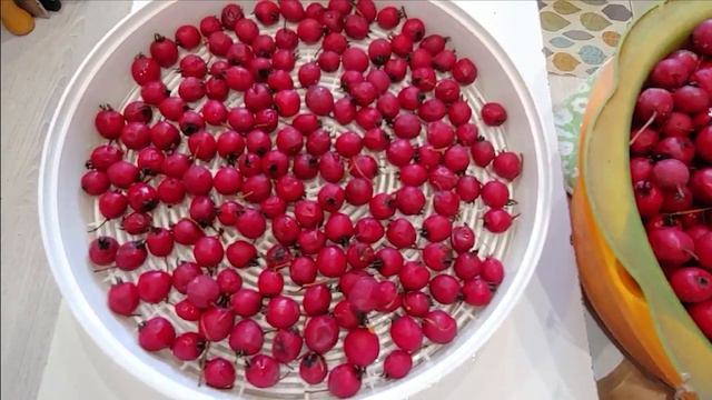 ВЫ ТАКОГО НЕ ЗНАЛИ • БОЯРЫШНИК В СУШИЛКЕ 🍒 ЗАГОТАВЛИВАЮ НА ЗИМУ ВЁДРАМИ
