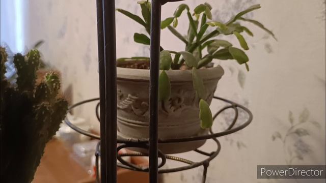 Неудачное платье. Фарфор,керамика,цветы. Продаю на Авито. Подарки.