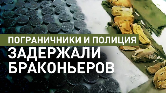 Контрабанда чёрной икры: в Хабаровском крае пограничники и полиция задержали браконьеров
