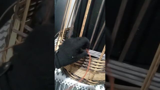 плетение горизонтального рисунка на ёмкости