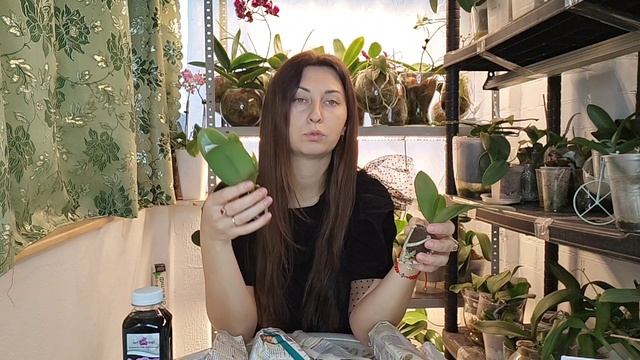 Распаковка ПОСЫЛКИ от ОРХОРАЙ🌸 КТО хочет Орхидеи?