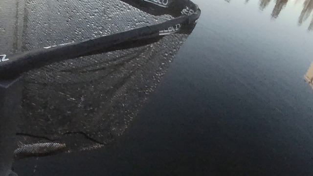 СУДАЧЁК В ДЕКАБРЕ НА УЛЬТРАЛАЙТ ПОТСДАМ