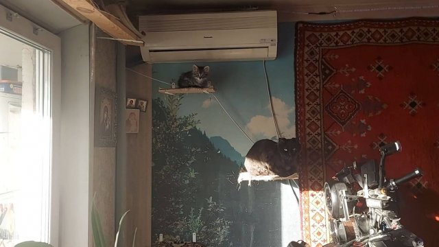 Просто Жизнь 05.12.24