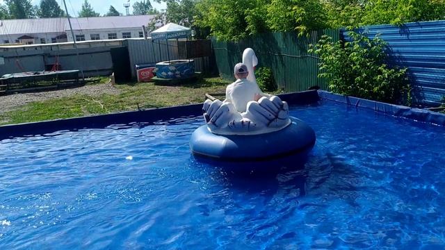 КАТАЮСЬ НА ЛЕБЕДЕ.