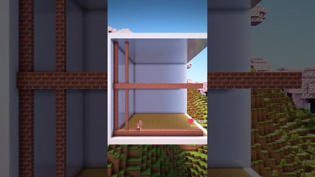 Like_7442941688885268186.mp4