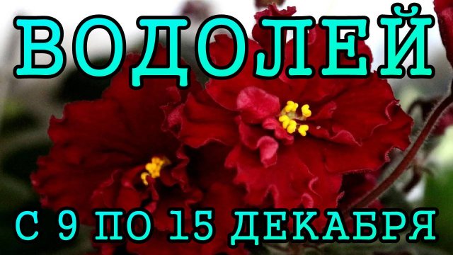 ВОДОЛЕЙ таро прогноз на неделю с 9 по 15 ДЕКАБРЯ 2024 года.