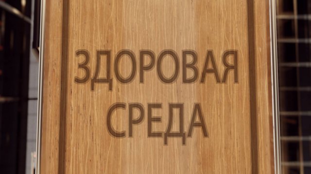 ЗДОРОВАЯ СРЕДА. ПАЛЛИАТИВНАЯ ПОМОЩЬ.
