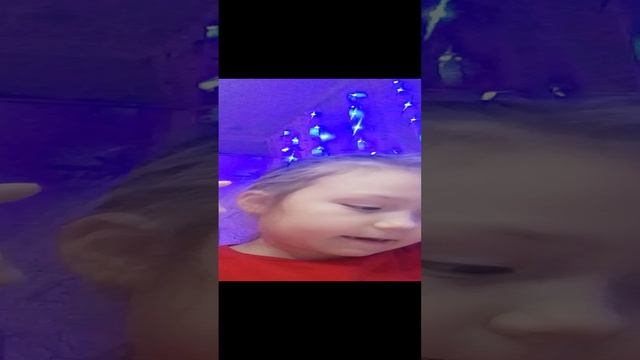 делаем петуха графический  диктант